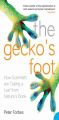 The Geckos Foot: How Scientists are Taking a Leaf from Nature's Book