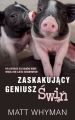 Zaskakujacy geniusz swin