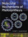 Molecular Mechanisms of Photosynthesis