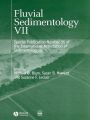Fluvial Sedimentology VII (Special Publication 35 of the IAS)