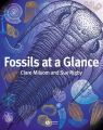 Fossils at a Glance