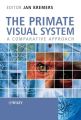 The Primate Visual System