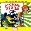 Лесные птицы