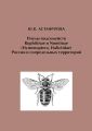   Rophitinae  Nomiinae (Hymenoptera, Halictidae)    