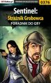 Sentinel: Straznik Grobowca