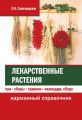 Лекарственные растения: чаи, сборы, травник, календарь сбора