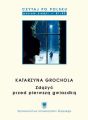 Czytaj po polsku. T. 9: Katarzyna Grochola: Zdazyc przed pierwsza gwiazdka