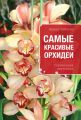 Самые красивые орхидеи. Справочник цветовода