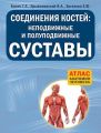 Соединения костей: неподвижные и полуподвижные суставы