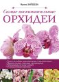 Самые восхитительные орхидеи Самые восхитительные орхидеи